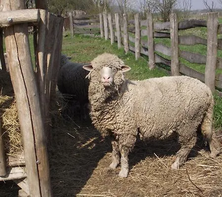 Pensionat Folyoka Vendeghaz Egyházasgerge