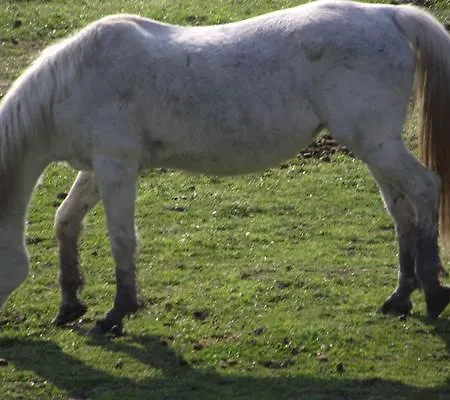 Folyoka Vendeghaz Egyházasgerge